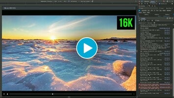 Video about vvc converter 1
