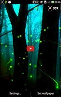 Firefly With The Moon1 hakkında video