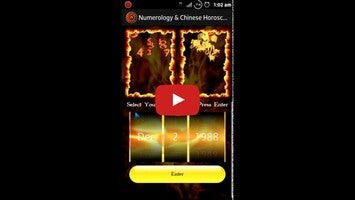 Vídeo sobre Numerology & Chinese Horoscope 1