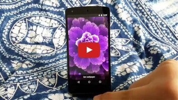 Video about Purple Flowers 1