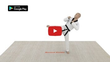 taekwondo workout apk