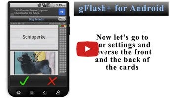 Video su gFlash+ Flashcards & Tests 1