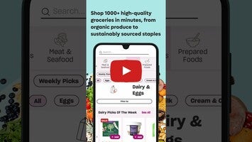 Imperfect Foods 1와 관련된 동영상
