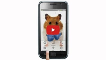 วิดีโอเกี่ยวกับ Hamster Live Wallpapper 1