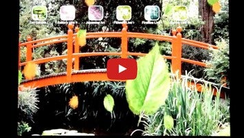 วิดีโอเกี่ยวกับ Zen Garden Live Wallpaper 1